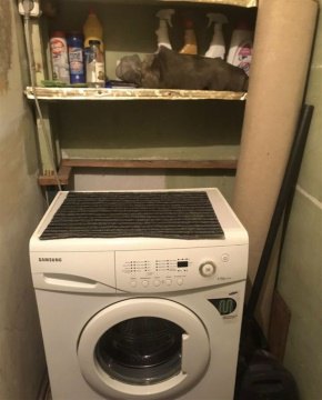 2-к квартира, 5/5 эт., 46м²